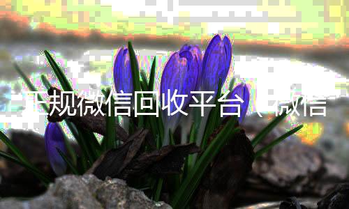 正规微信回收平收vx号台（微信回收平台联系方式）